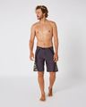 Boardshort L Vault Apex