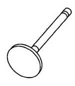 Y valve, intake
